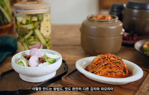 【包菜の方がおいしそう】韓国名物教授、キムチの歴史的正統性を映像で発信「中国由来ではない」