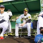 阪神・青柳がカンテレ特番で芸能人チームと野球対決「初めてのサードで公式戦より緊張しました」