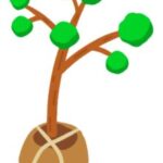 【マイクラ】ダークオーク、ジャングルの葉っぱを幸運3ツルハシで壊すとオークの苗木が出てくるんですが、これって仕様？バグですかね？