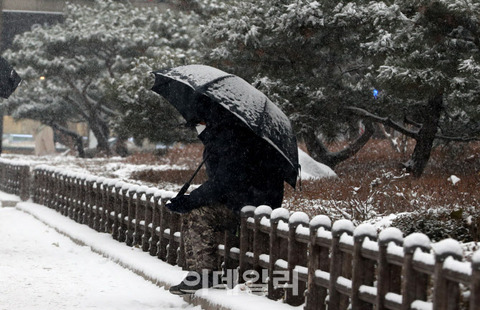【ワウコリア】屋久島で登山中の30代韓国人が行方不明…大雪で捜索難航