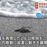 【悲報】静岡県「リニアはダメだ！でもウミガメの産卵地近くに野球場は作るで～」