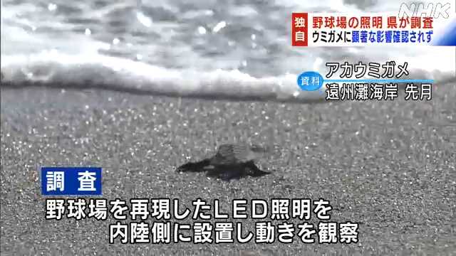 【悲報】静岡県「リニアはダメだ！でもウミガメの産卵地近くに野球場は作るで～」