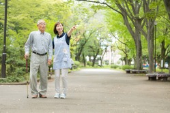 散歩を日課にしてから身体と精神の調子が良い