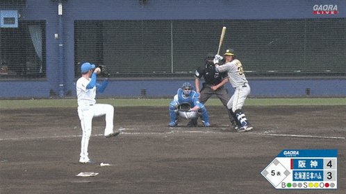 【朗報】阪神井上、ガチのマジで覚醒しそうｗｗｗｗｗｗｗｗ