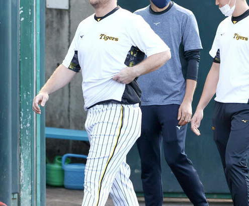 【阪神】ノイジー左腰張りで本隊と別メニュー、岡田監督「このクールはあかんやろ」出遅れ決定的