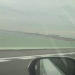 米大リーグ挑戦の藤浪　自身のＳＮＳに車窓から見える空港と海の写真を投稿　１６日から投手キャンプ