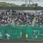 大山悠輔と佐藤輝明がアーチ競演　ランチ特打で合わせて51発、満員スタンドは拍手の嵐