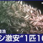 漁師も驚き…イワシ“異例の豊漁”　激安“1匹10円”　専門家「あと数年続く」