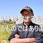 【待った無し】コオロギ食を推進する社会になりそう