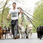 【速報】NYで犬の散歩代行業が大人気、年収1300万円もｗｗｗｗｗｗｗ