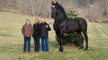 【速報】世界一デカイ馬、デカすぎるｗｗｗｗｗｗｗ