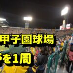 【野球】阪神、声出し応援解禁で異例の注意喚起「『誹謗中傷ヤジ』、『侮辱的な替え歌』は絶対にお止め頂きますようお願いいたします」