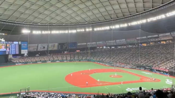 【悲報】西武・川越誠司さん、ウイニングボールを阪神ファンの元に投げ入れてしまうｗｗｗｗｗ