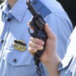 日本警察の拳銃でヒグマを倒せるだろうか