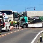 高速バスとトラックが衝突15人けがそのうち人人が心肺停止トラックに積まれていたブタも逃げ出す北海道八雲町