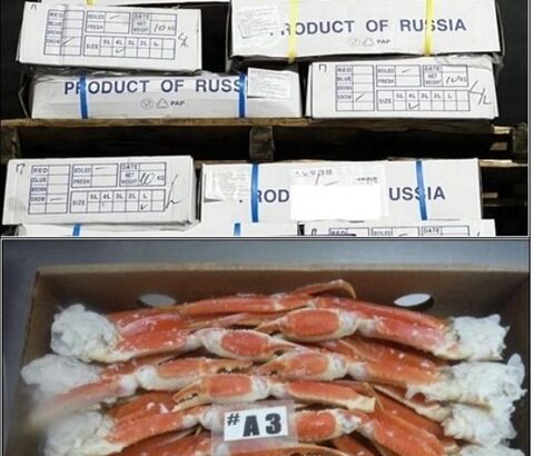 【韓国】「ウクライナで余裕ないはず」…ロシアの書類偽造、カニの大量輸入試みた韓国人摘発