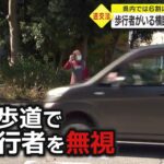 【必見】意識低いドライバーは注意‼横断歩道で一時停止しないと罰金の厳しい現実が⁉