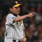 阪神ノイジー先発渡辺3番がハマった岡田監督ミエちゃん使うていうからあかん言うた