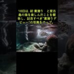 上野樹里が15年ぶりのダイビングに挑戦！鮮やかな海の世界に感動の写真を公開