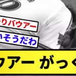 【もう終わりだよ】バウアー がっくり【反応集】【プロ野球反応集】【2chスレ】【5chスレ】