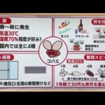 【必見】夏に家で発生するコバエの正体とは？