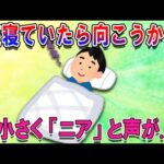 2chほのぼのスレ夜寝ていたら小さい声でﾆｬｱﾝと声がした何事かと思って起きたら!!!ゆっくり2ch