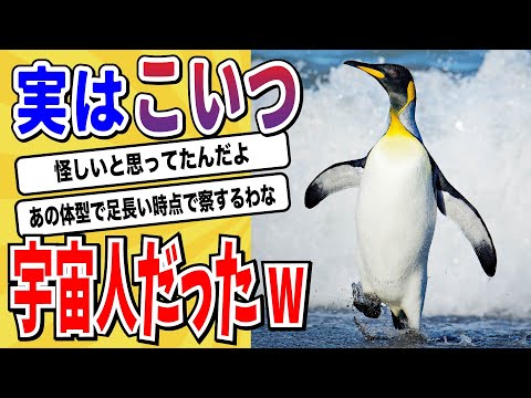 2ch動物スレ進化の異端児ペンギン実は宇宙人だった説が浮上その驚きの理由がヤバすぎると話題にwwwww