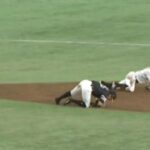 【悲報】日本プロ野球さん、盗塁時はこういうプレーが基本になってしまう事が確定ｗｗｗｗｗｗ
