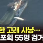【朝鮮日報】もりでクジラを捕獲、韓国海洋警察が55人を一斉摘発