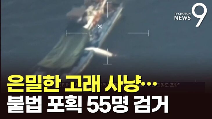 【朝鮮日報】もりでクジラを捕獲、韓国海洋警察が55人を一斉摘発