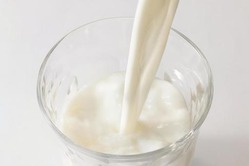 なぜ人類は消化できないはずの牛乳を飲み始めたのか、いまだに謎、動物界では異例の行動
