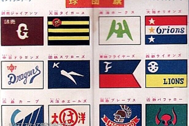 【朗報】約60年前のプロ野球12球団の球団旗のデザインが発掘される
