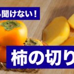 【必見】和歌山県の柿に含まれるポリフェノール成分の健康効能が話題に⁉