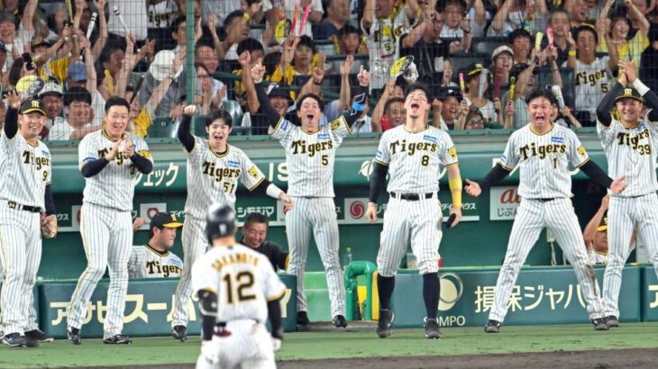 【朗報】阪神タイガースの現行ユニ、かっこ良すぎるｗｗｗｗｗｗｗｗｗｗｗｗｗｗｗｗ