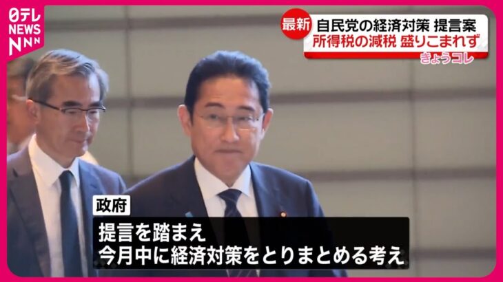 【必見】自民党の『所得減税見送り案』が明らかに⁉