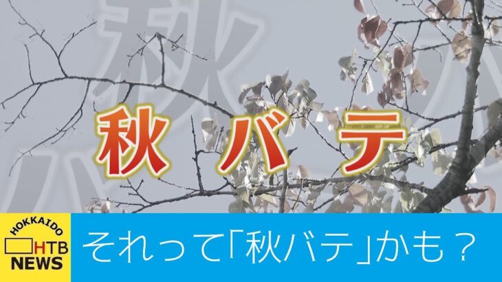 【必見】体調不良の多いこの時期、注意が必要な「秋バテ」とは？