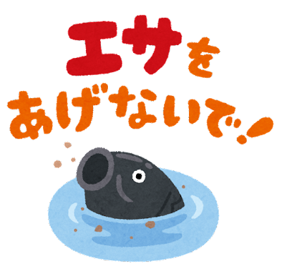 隣の家の鯉に「餌」を与えてた結果ｗｗｗｗｗｗｗ