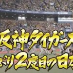 阪神、38年ぶり2度目の日本一！　巨人ファンの反応