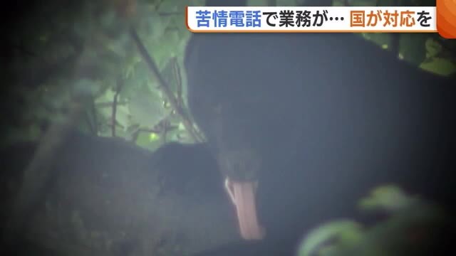 クマ駆除に「武器を使うのは卑怯」「素手で対応しろ」など…新潟にも数十件の“苦情電話