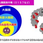 【衝撃】リンゴ園での試食で12人が食中毒、6歳男児ら2人が重症・・・街の安全性に問題の兆し？