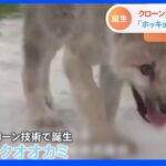 【クローン技術】「死んだ愛犬の再生が可能！中国企業のクローン技術に日本から殺到する依頼」