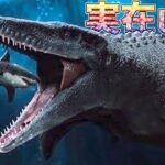 【恐竜だ！】5億1800万年前を生きた世界最古の巨大な海洋捕食動物が発見される