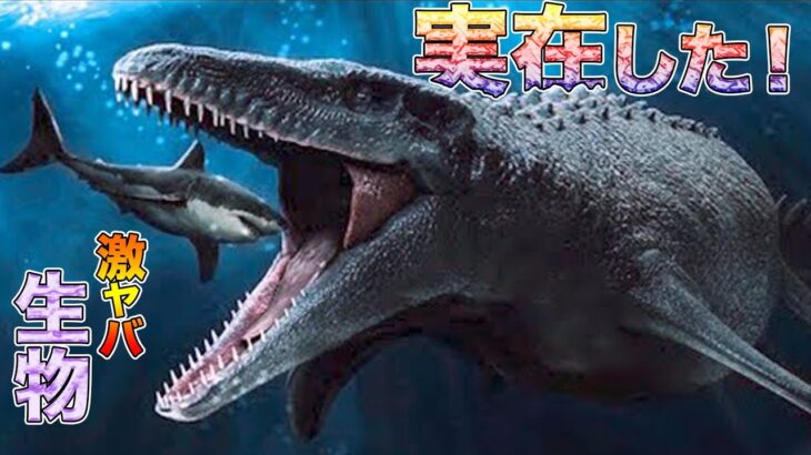 【恐竜だ！】5億1800万年前を生きた世界最古の巨大な海洋捕食動物が発見される