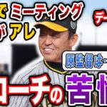 デーブ「高橋、泉、近藤、ケラー、馬場の補強で阪神には勝ち越せる！！！！」