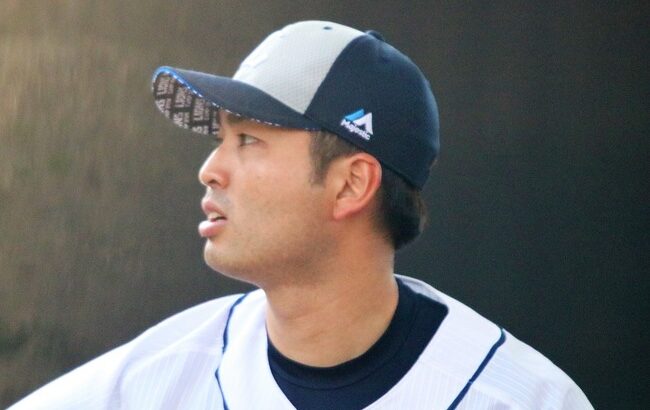 8球団くらい競合した大石達也って投手いたよな？