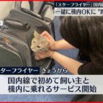 【ペット同伴搭乗拒否だろう】JAL機炎上での「同伴搭乗」要求、犠牲を出したペットの声が広がる