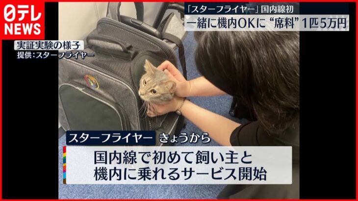 【ペット同伴搭乗拒否だろう】JAL機炎上での「同伴搭乗」要求、犠牲を出したペットの声が広がる