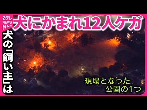 130cmの四国犬が小学生12人を噛みまくる