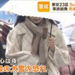 【東京】”警報級大雪”の予報ｷﾀ━━━━(ﾟ∀ﾟ)━━━━!!最大積雪5cmの可能性も