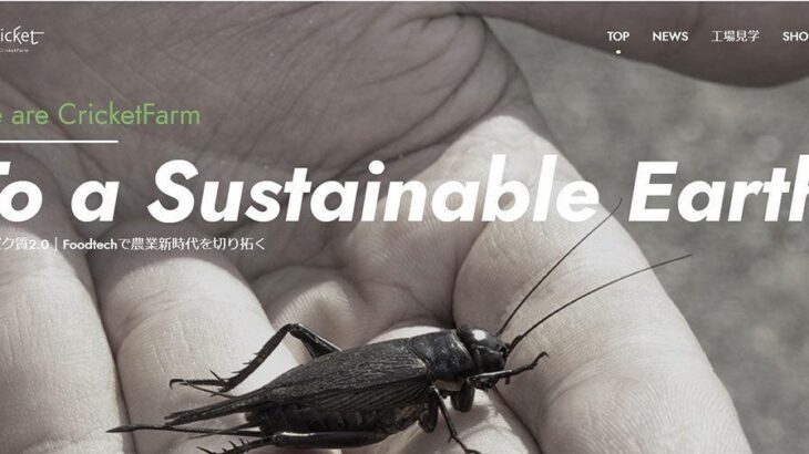 【昆虫】SDGsの結末？食用コオロギの会社が破産…”さすがに無理があった”